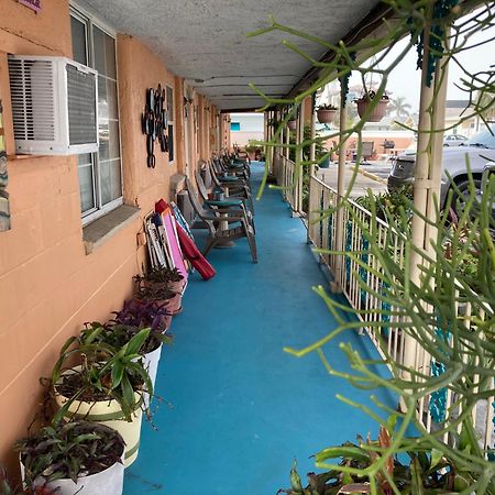 سانت بطرسبرج Michaels Siesta Motel المظهر الخارجي الصورة
