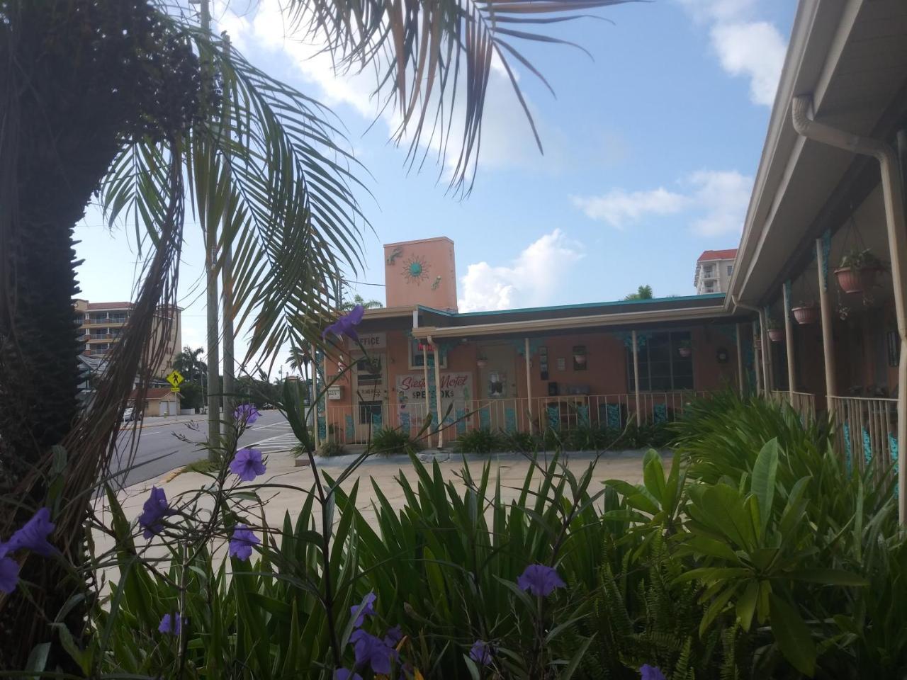 سانت بطرسبرج Michaels Siesta Motel المظهر الخارجي الصورة