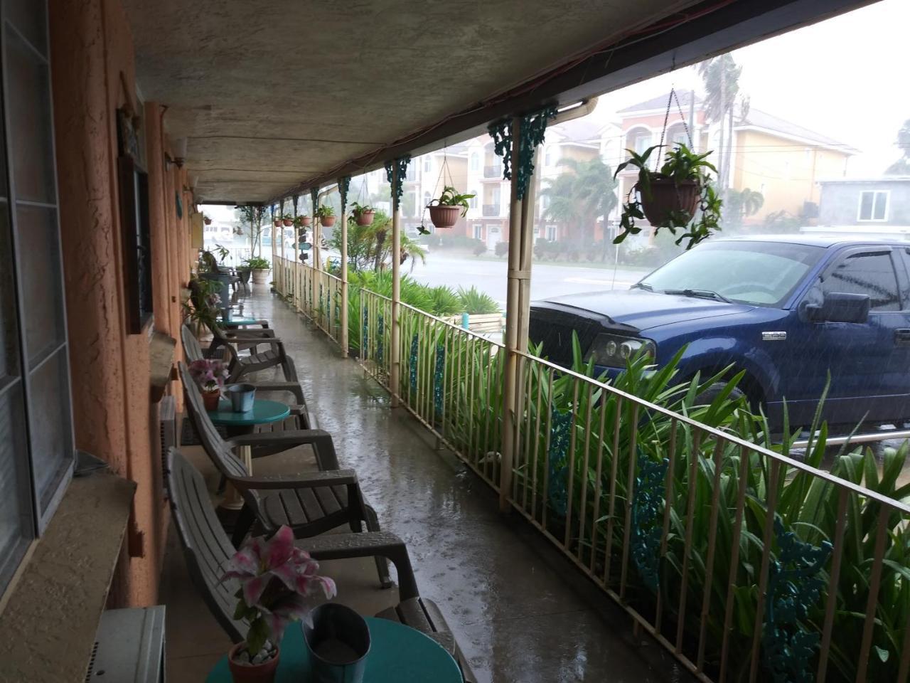 سانت بطرسبرج Michaels Siesta Motel المظهر الخارجي الصورة