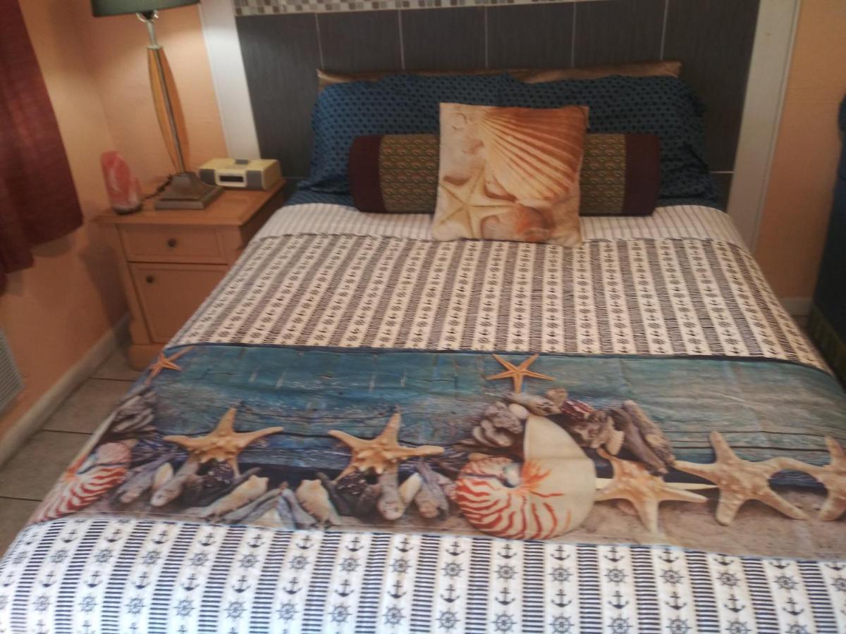 سانت بطرسبرج Michaels Siesta Motel المظهر الخارجي الصورة